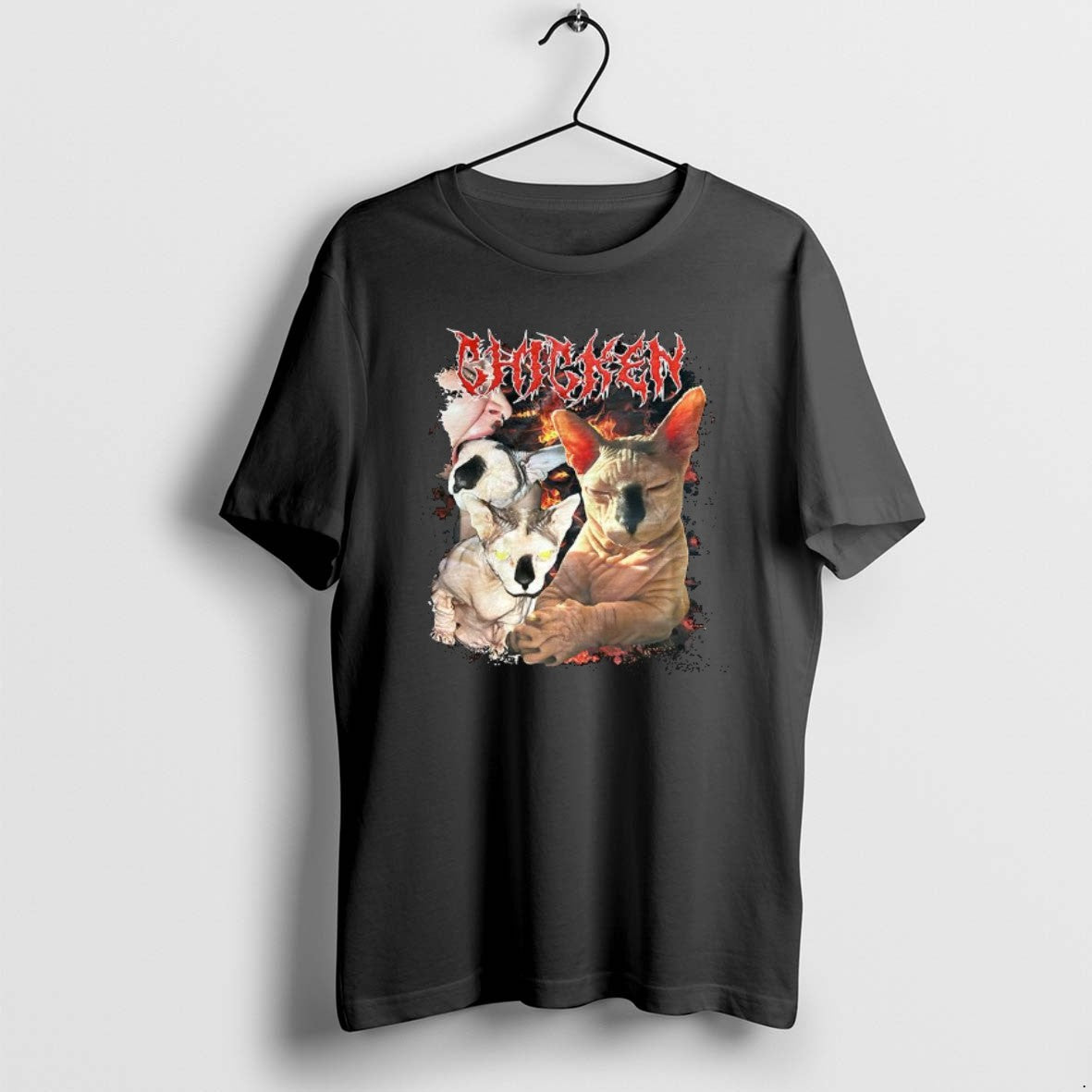 Official Chicken Sphynx Cat