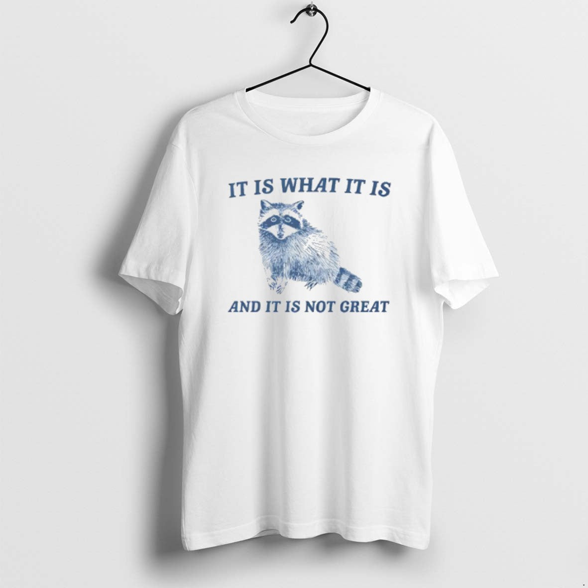Official It Is What It Is And It Is Not Great Raccoon