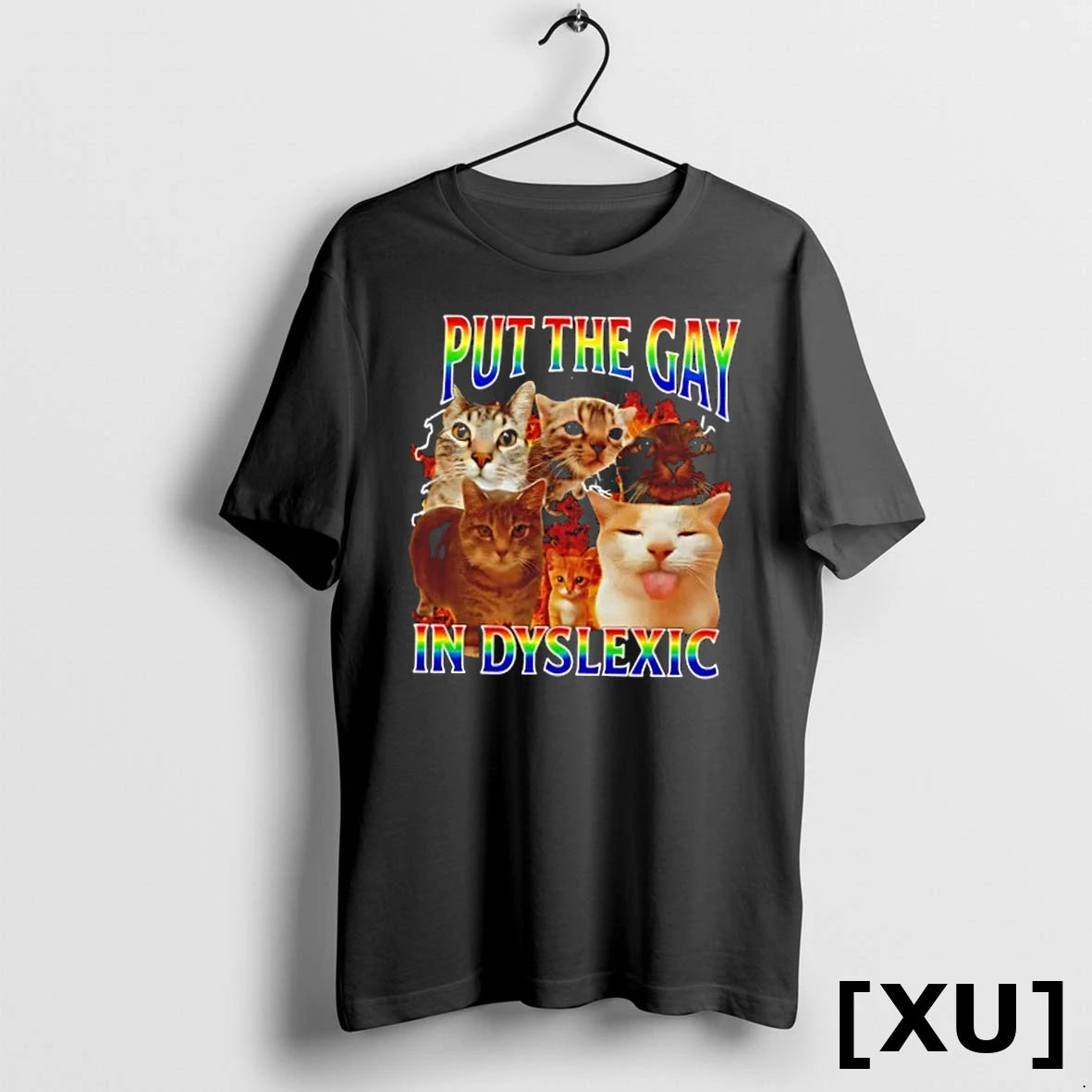 Official Megan Meiyok Wears I Put The Gay In Dyslexic Tshirts Sweater