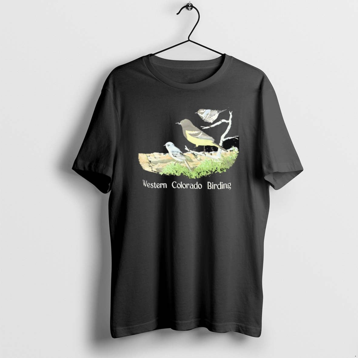 Official Thress Wagtail Tyrant Bird Western Colorado Birding