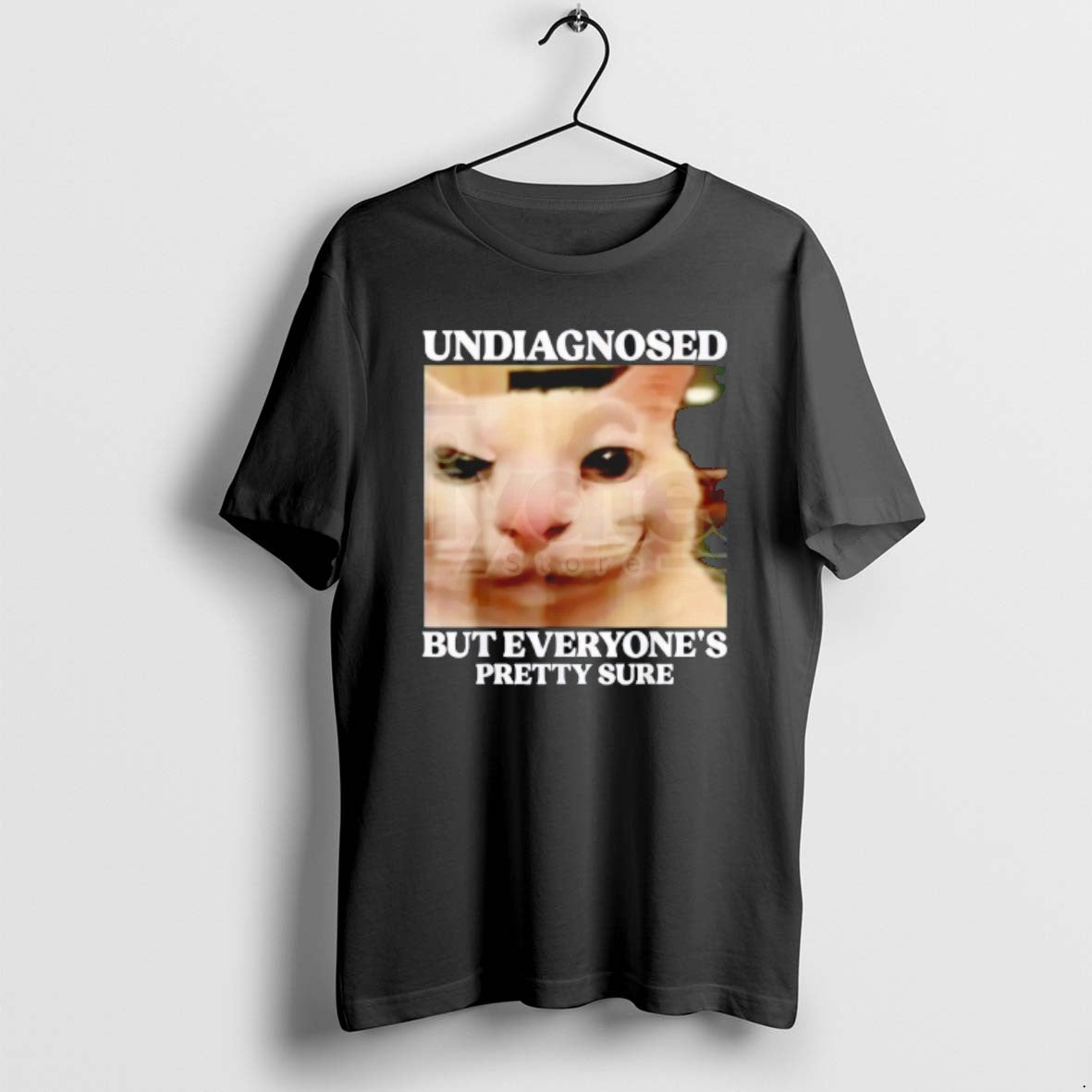 Official Undiagnosed But Everyones Pretty Sure Cat Meme