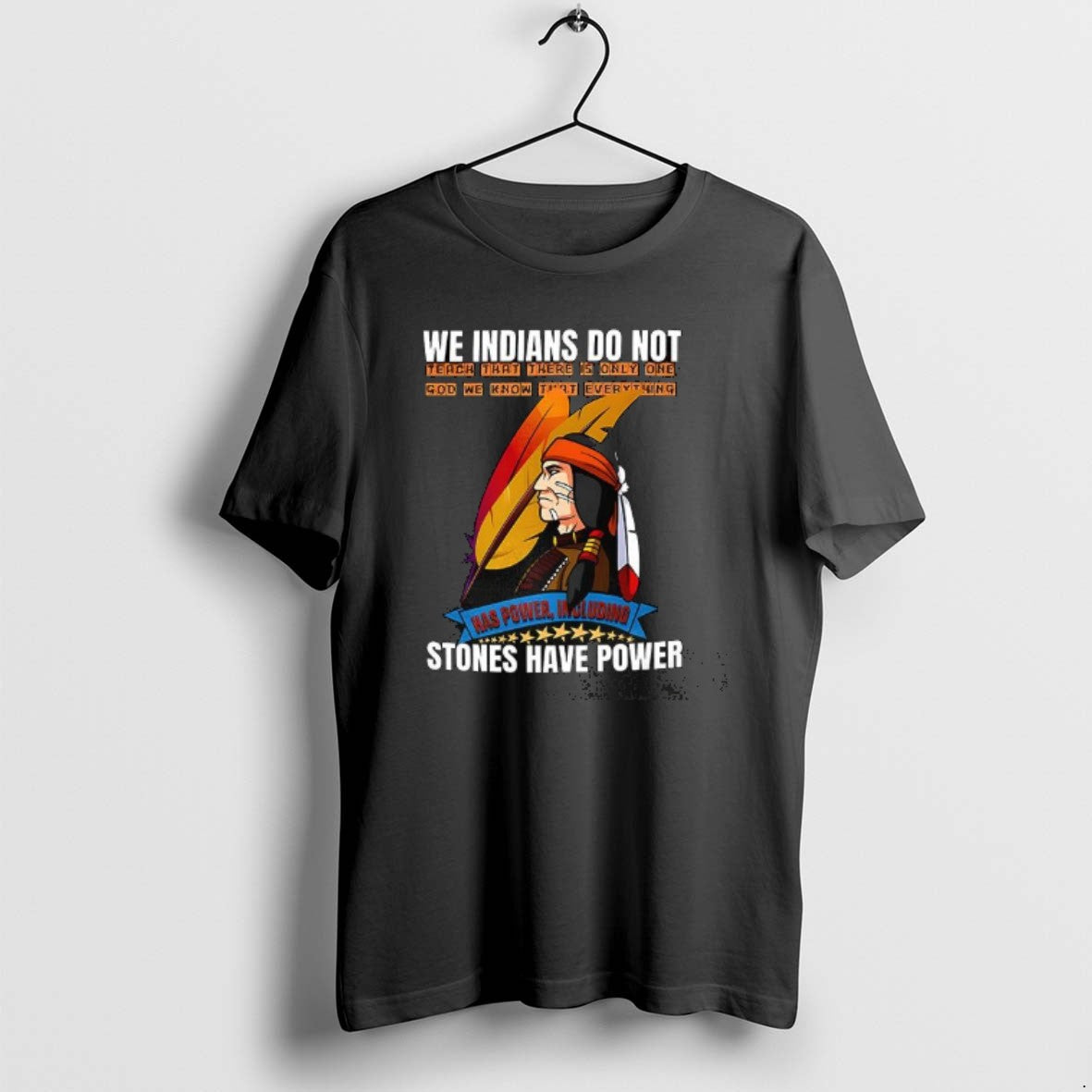 Official We Indians Do Not Native American