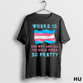 Official Where Is Atransgender Pride Flag Nd Why Are All The Girls There So Pretty