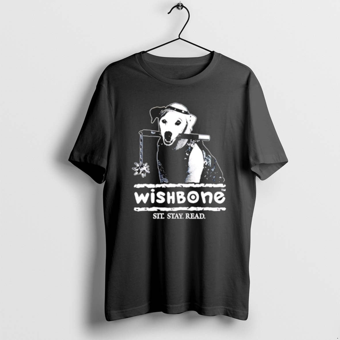 Official Wishbone Sit Stay Read Dog