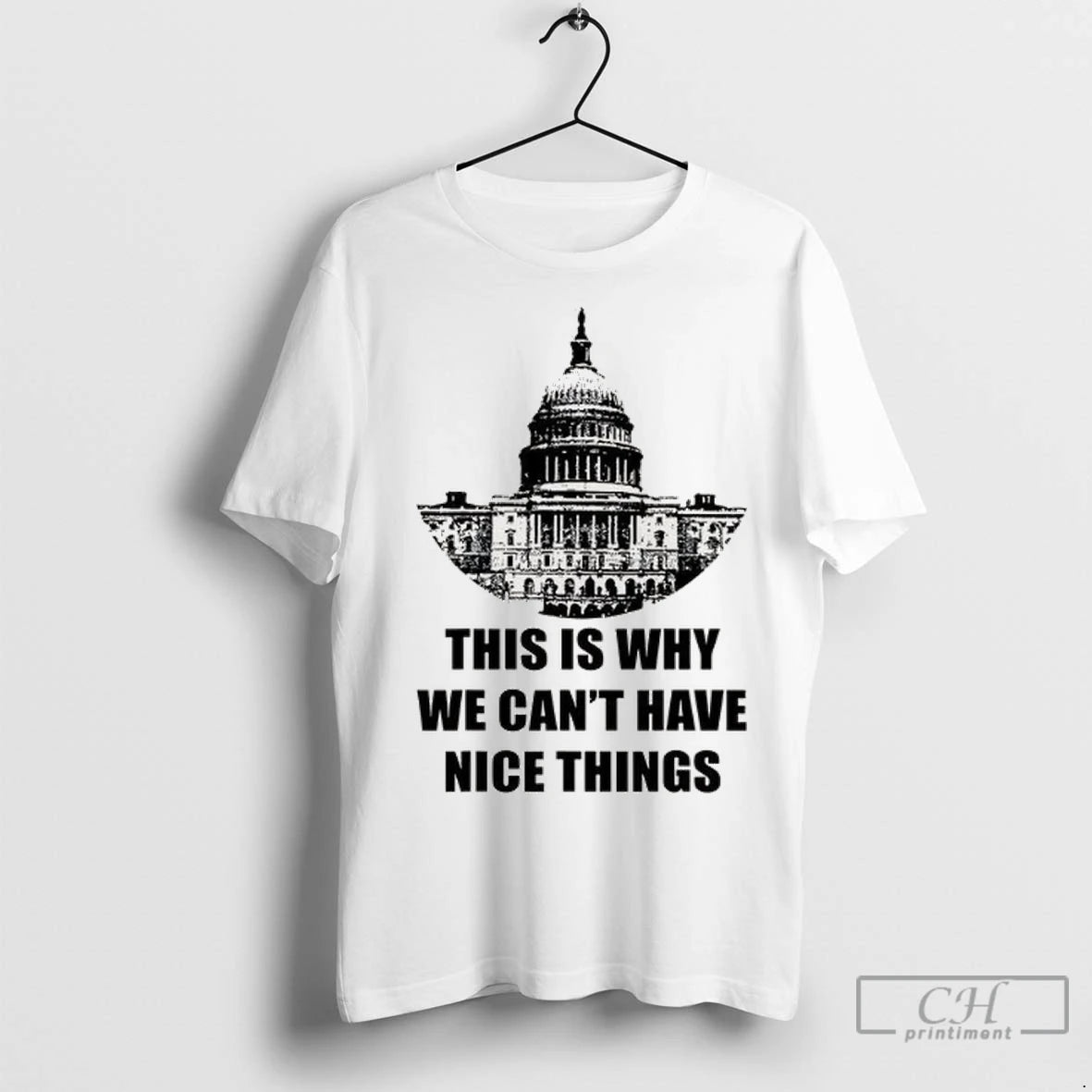 This Is Why We Cant Have Nice Things Anti Government T Shirts