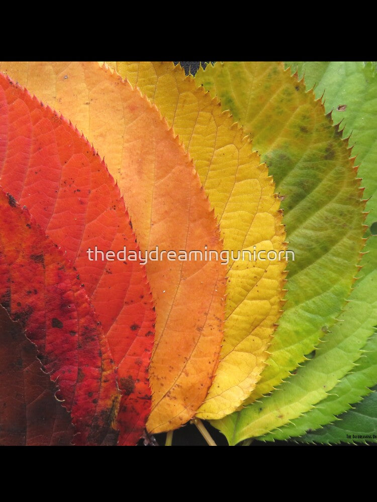 Fall leaves abstract by thedaydreamingunicorn
