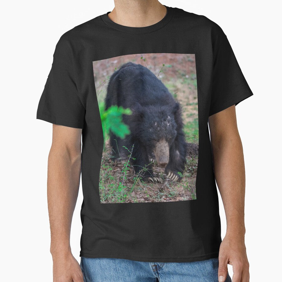 Sloth bear - Wild Life by chamsham2020