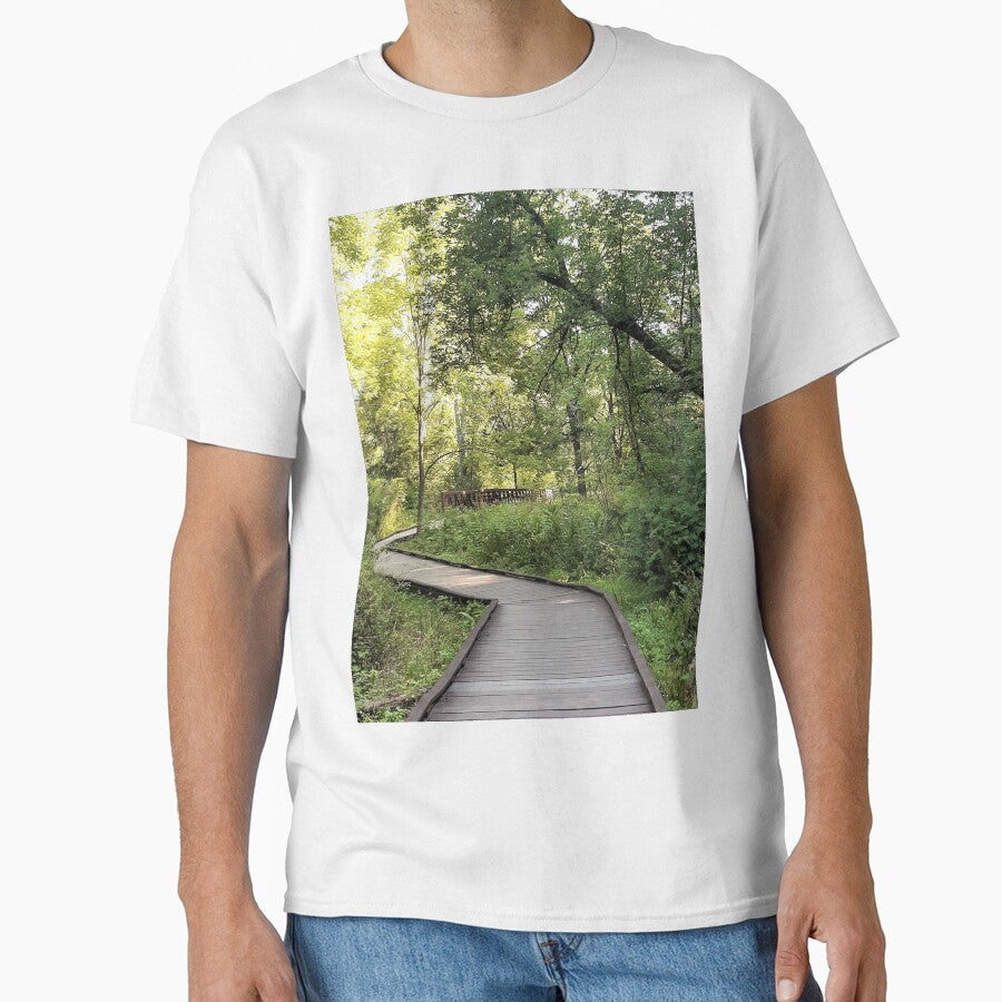 Pathways by Phyllis Koppel
