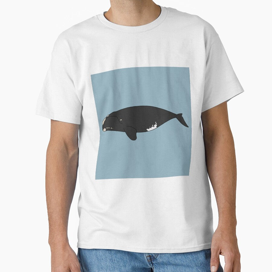 North Pacific Right Whale by taylorrowan