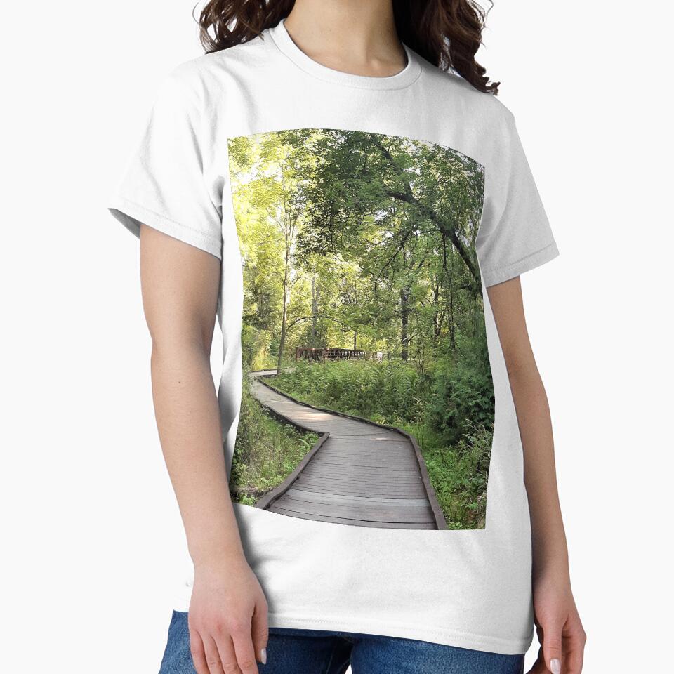 Pathways by Phyllis Koppel