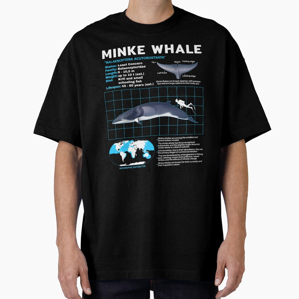 Copy of Minke whale data sheet by NicGrayGraphic